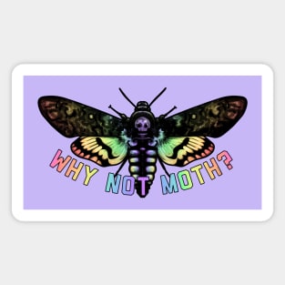 Why Not Moth? Rainbow Magnet